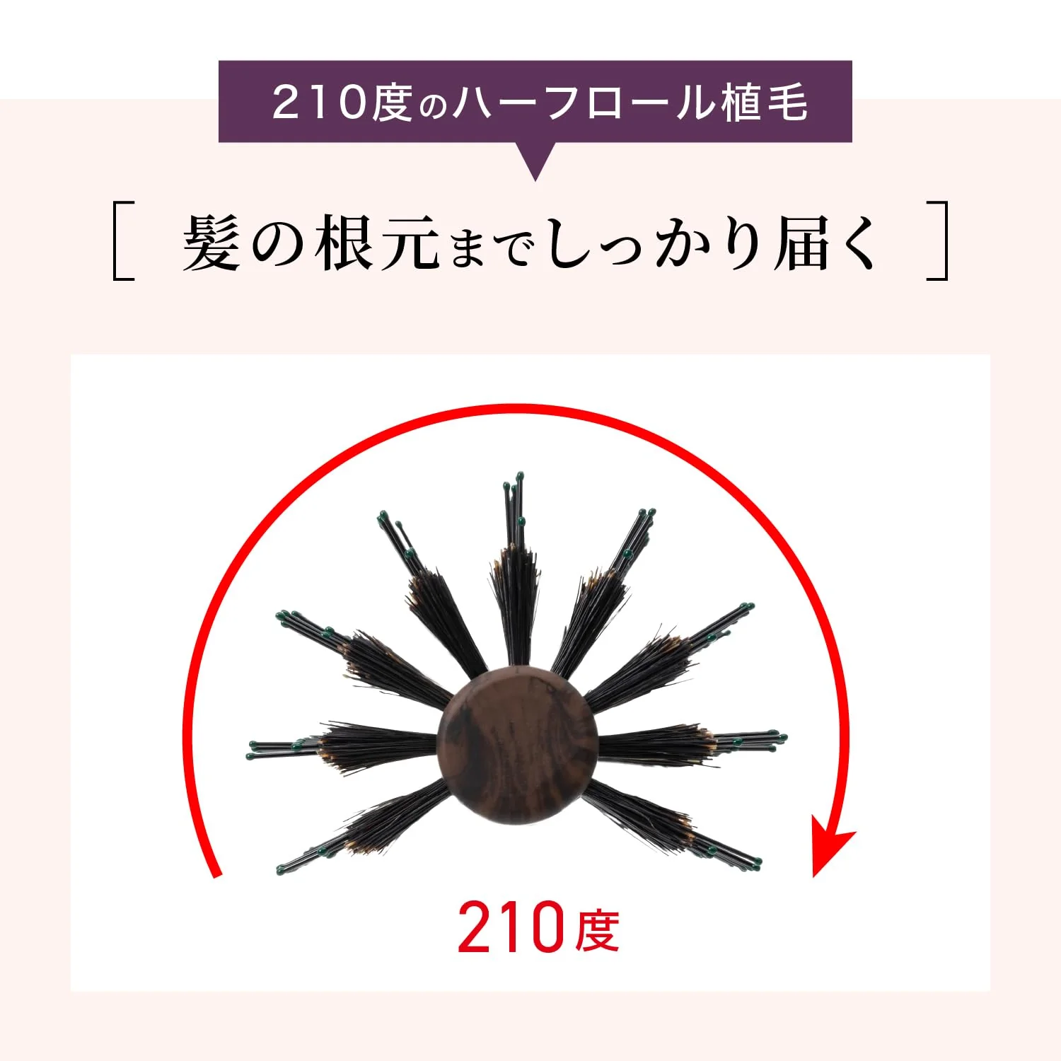 PROIDEA Kumamoto Glossy Hair Brush Volume Boost Made in Japan - Image 2