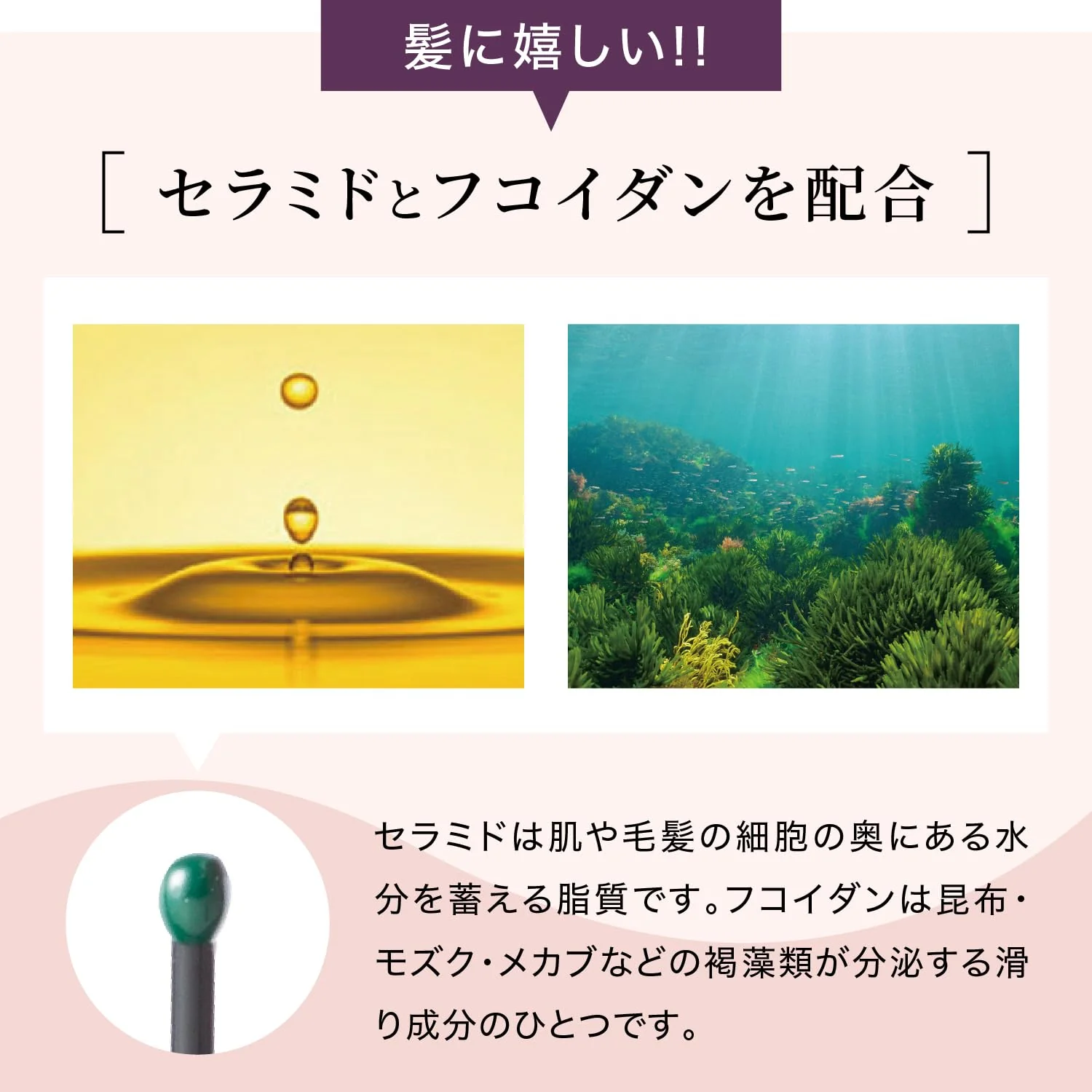 PROIDEA Kumamoto Glossy Hair Brush Volume Boost Made in Japan - Image 5