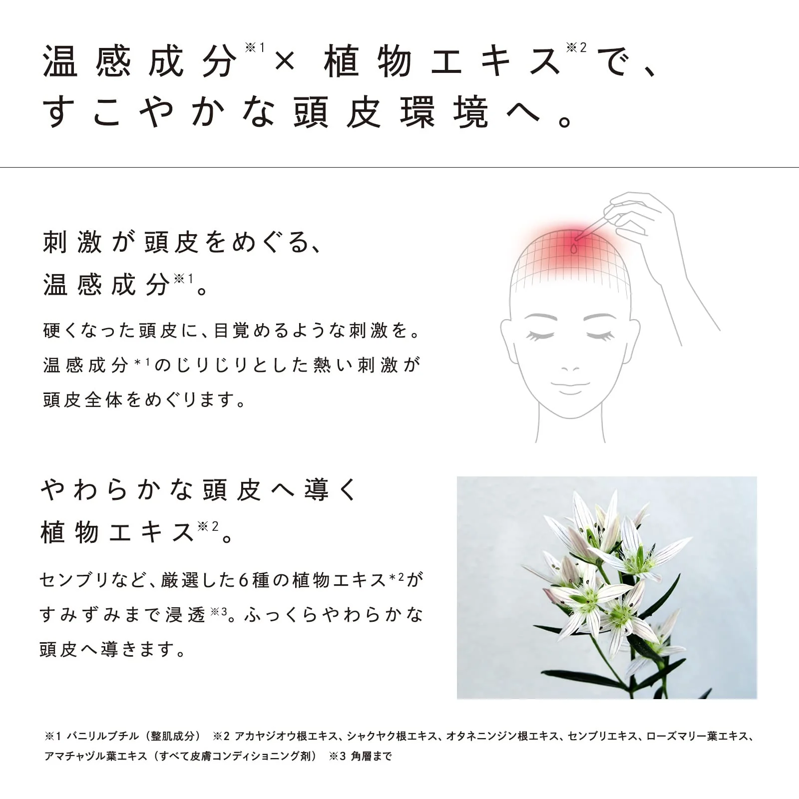 ReFa HOT DROP Scalp Serum — Hydrating Scalp Care - Image 4