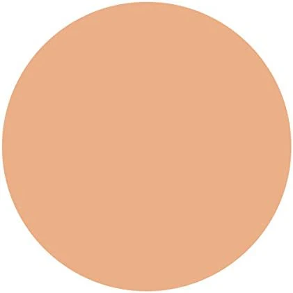 Shiseido Spotscover Foundation - Image 11