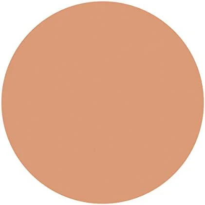 Shiseido Spotscover Foundation - Image 13