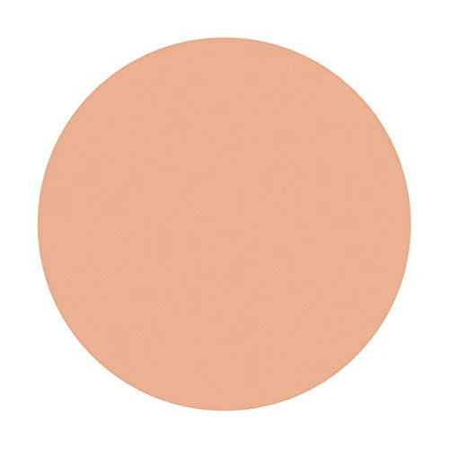 Shiseido Spotscover Foundation - Image 5