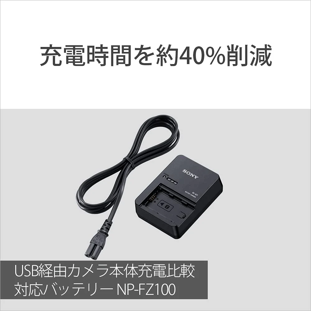 Sony Battery Charger Fast Charging Compatible with BC-QZ1 Model 100-240V - Image 2