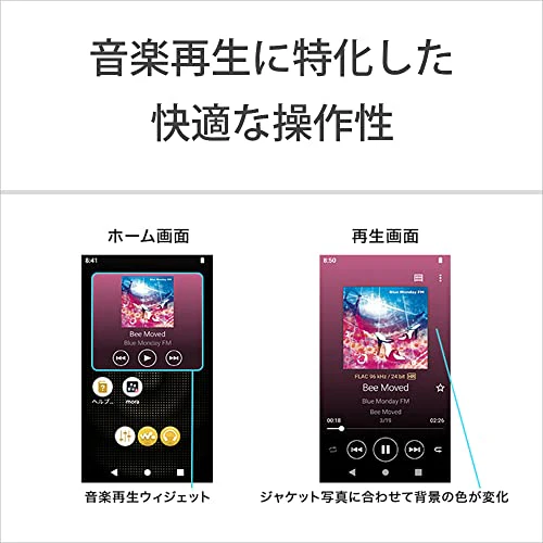 SONY WALKMAN 32GB Hi-Res A300 Series NW-A306 Audio Player Black - Image 12