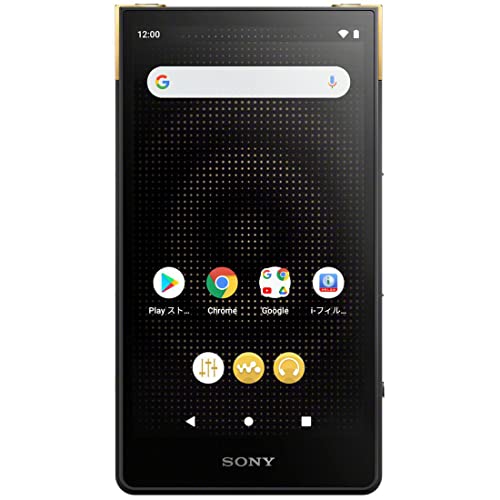 SONY Walkman 64GB ZX Series NW-ZX707 : High-end streaming WALKMAN - Image 32