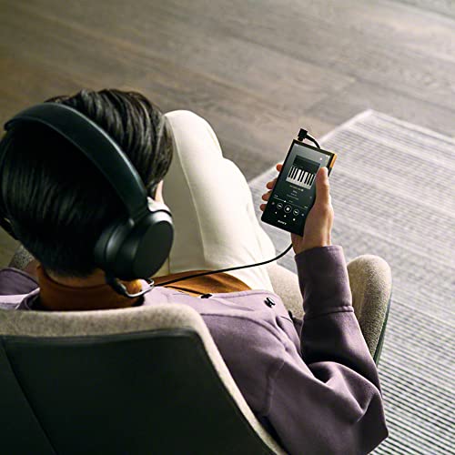 SONY Walkman 64GB ZX Series NW-ZX707 : High-end streaming WALKMAN - Image 37