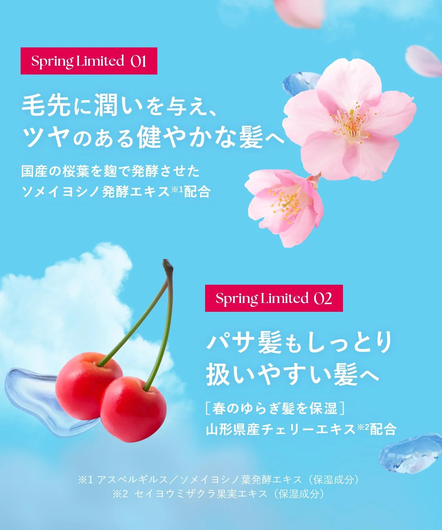 BOTANIST Moist Hair Milk Sakura & Cherry Scent - Image 5
