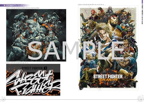Street Fighter 6 World Guide Japanese - Image 7