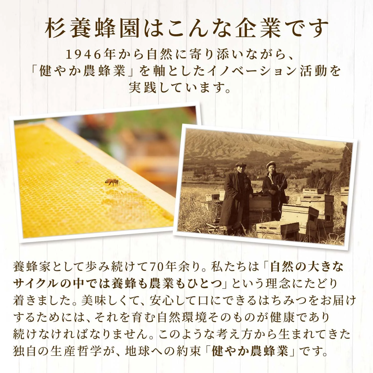 SUGI BEE GARDEN SBG Honey Fruit Syrup Set Yuzu Blueberry Acerola Mango Kyoho Grape AMG5P - Image 9