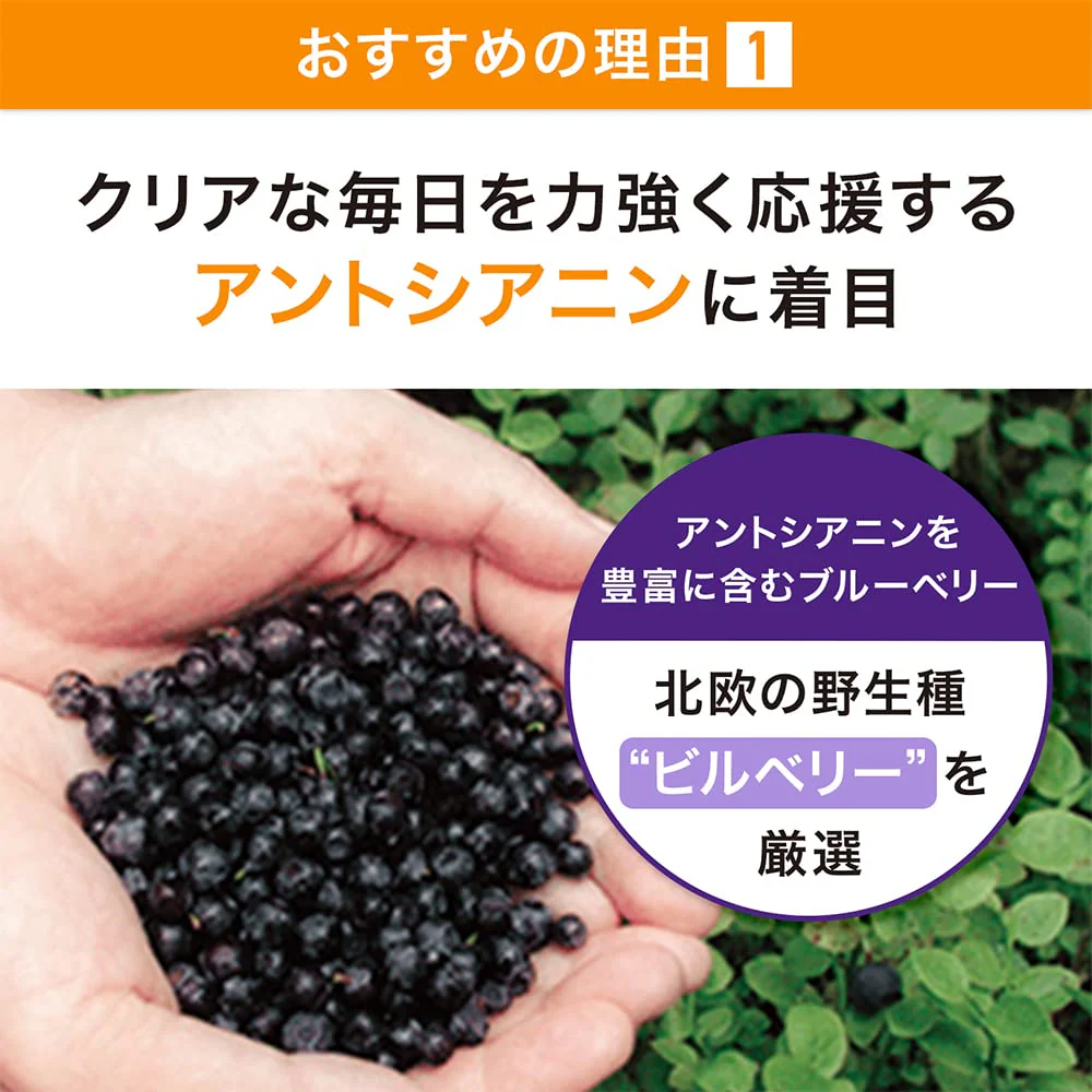 Suntory Blueberry Bilberry Astaxanthin Vitamin Supplement 30-Day Supply - Image 5