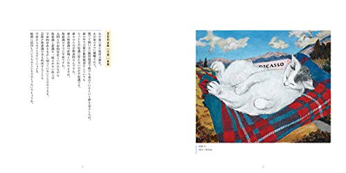 Tadanori Yokoo Tama come home. Japanese Art Book - Image 5
