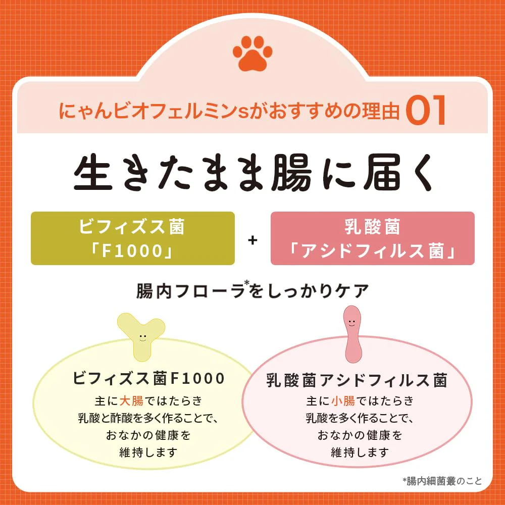 Taisho Pharmaceutical Nyan Biofermin S Cat Probiotic Supplement Powder 40g - Image 3