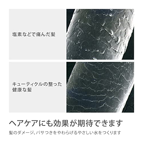 Takagi Shower Head Shower Metallic Pita Water Saving JSB022M - Image 11