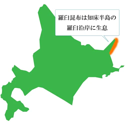 Tenma Osaka Kelp Natural Rausu dashi Kelp from Hokkaido 1kg - Image 3