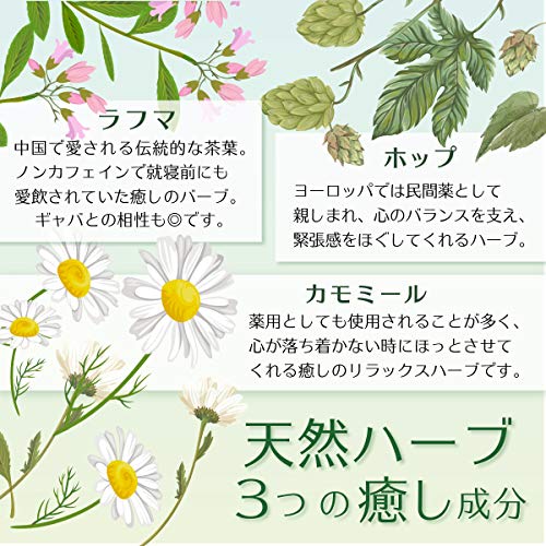 Quiet Sleep Supplement Relax Glycine Theanine GABA Tryptophan Japan 120tablet - Image 5