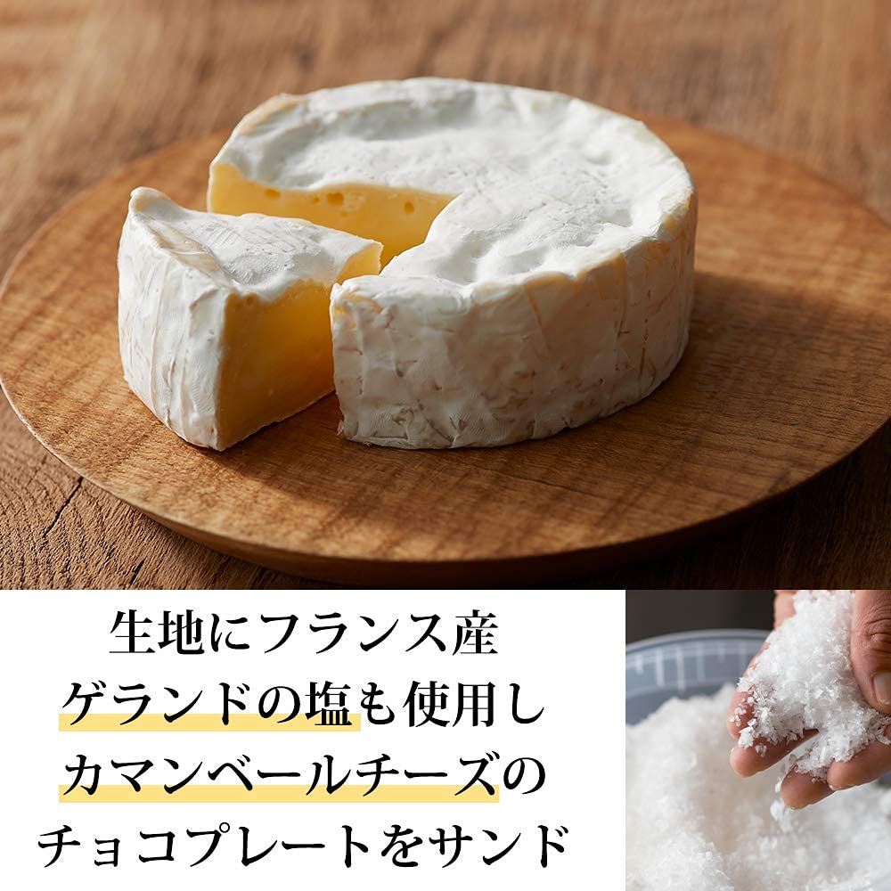 Tokyo Milk Cheese Factory Salt & Camembert Cookies - Image 3