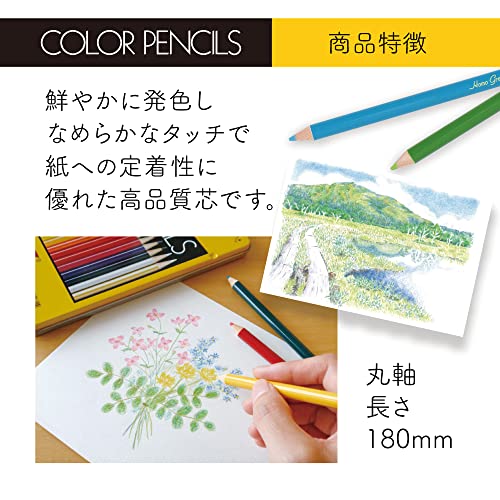 Tombow Pencil Colored Pencils NQ 36 Colors CB-NQ36C - Image 4