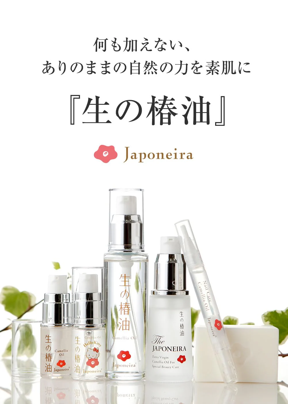 Unheated Japanese Camellia Oil 15ml for Face Hair & Body (Hello Kitty) - Image 6