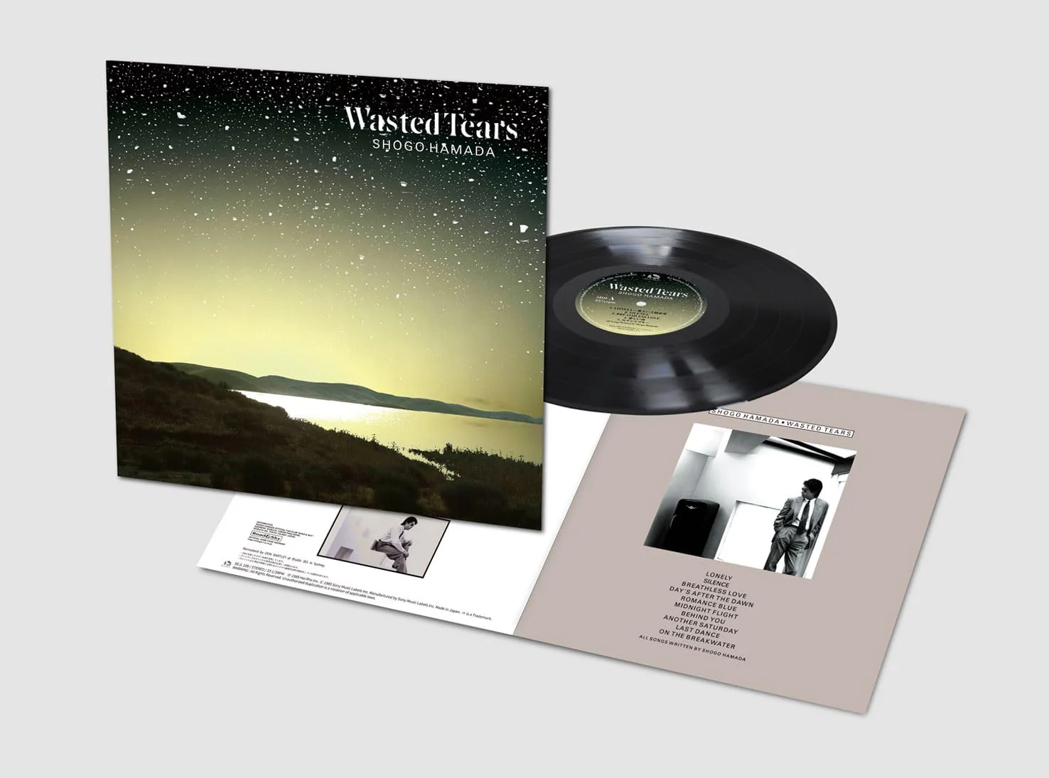 Shogo Hamada Wasted Tears (Limited Edition) Analog LP Vinyl No Bonus - Image 2