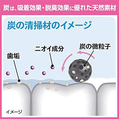 Kobayashi Sumigaki Charclean Charcoal Toothpaste 90g - Image 4