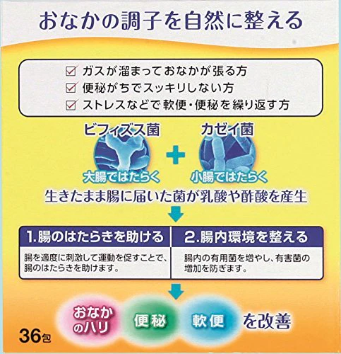 Yakult BL Gastrointestinal Medicine 36 Pack - Image 2
