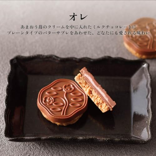 Shiseido Parlor Hanatsubaki Chocolat & Sablet 6pcs. - Image 3